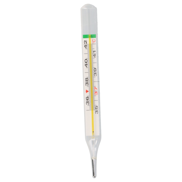 Termometr bezrtęciowy kliniczny T-FLAP